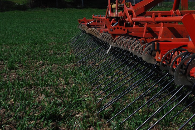 Hackstriegel Nahaufnahme